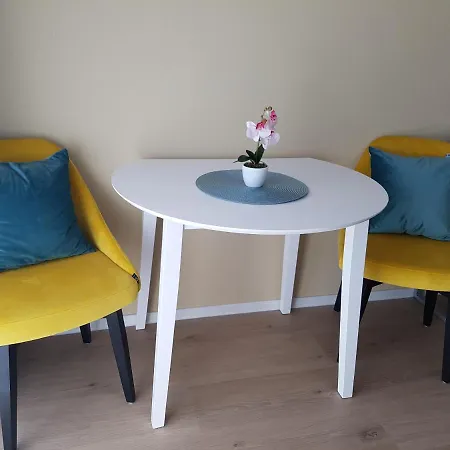 Nina Exklusiv Design Mit Bergblick Apartment Goslar